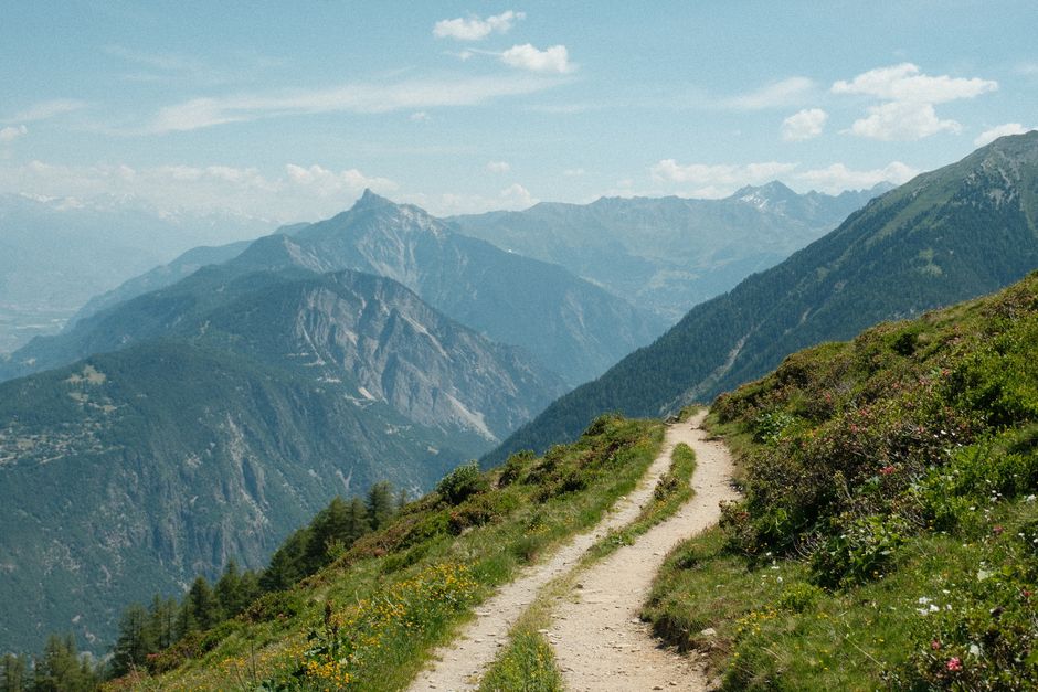 Breathtaking view of an alpine hiking path with lush greenery and majestic mountains.