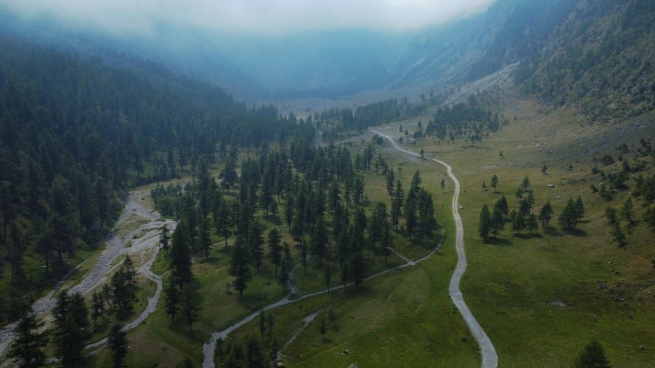 A stunning aerial shot of a lush valley in Piemonte, Italy, with winding paths and dense forests shrouded in mist.